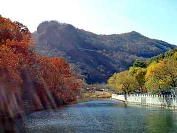 日韩 色区 在线 视频，天台seo程序